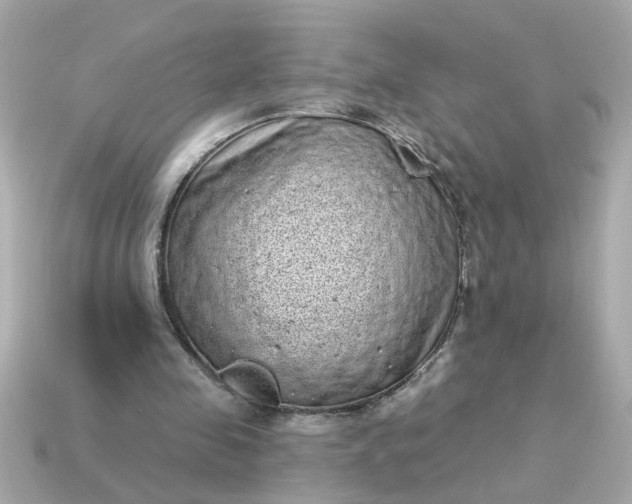X0000115160341200911101755