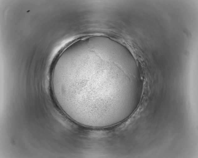 X0000115160342200911101755