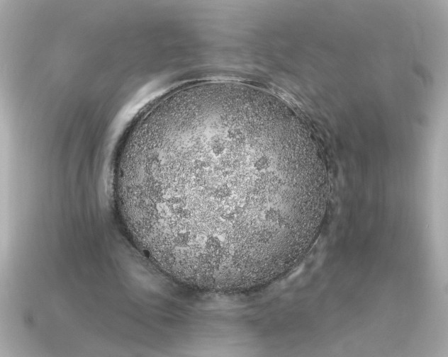 X0000115160343200911101755