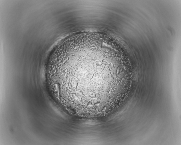 X0000115160347200911101755