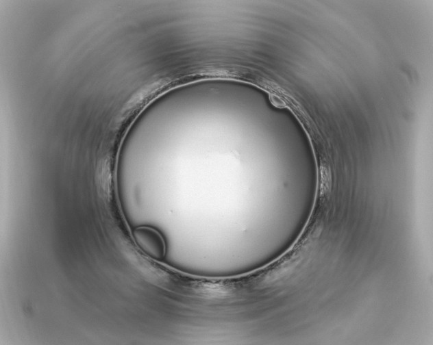 X0000115160349200911101755
