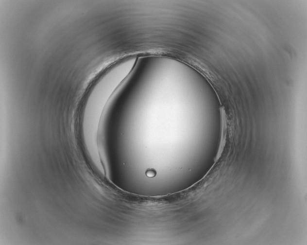 X0000115160350200911101755