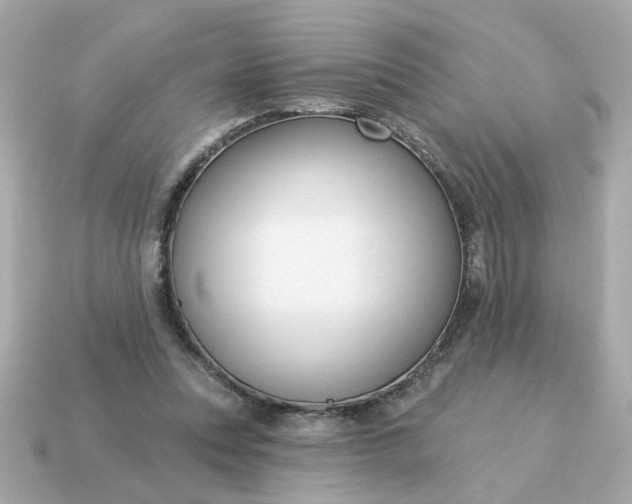 X0000115160351200911101755
