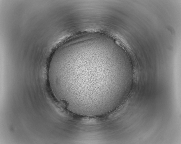X0000115160354200911101755