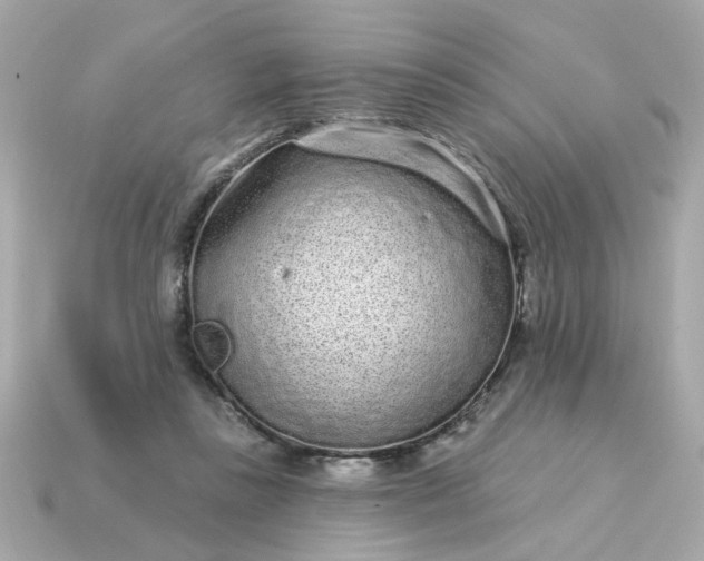 X0000115160355200911101755