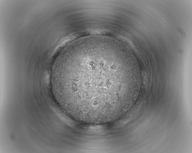 X0000115160357200911101755
