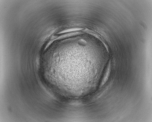 X0000115160358200911101755