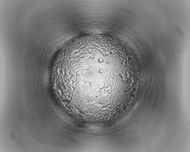 X0000115160359200911101755