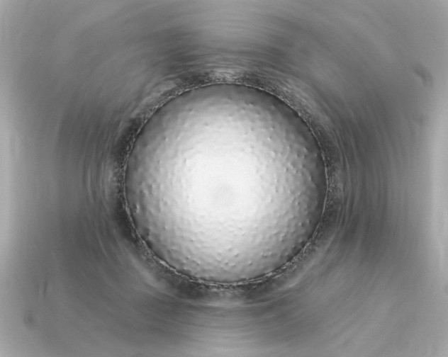 X0000115160363200911101755