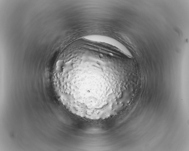X0000115160366200911101755