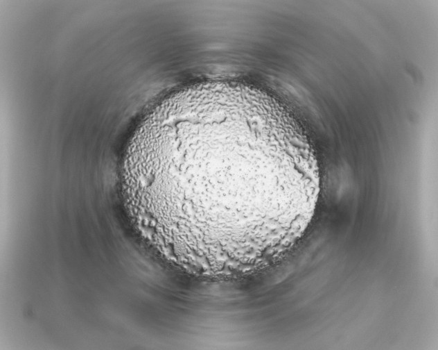 X0000115160367200911101755