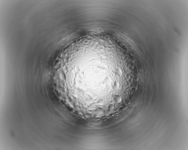 X0000115160369200911101755