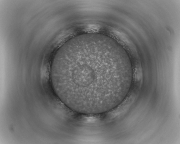 X0000115160370200911101755