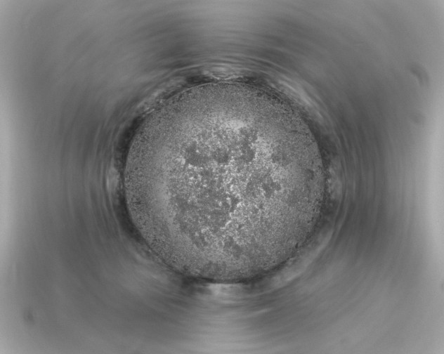 X0000115160371200911101755