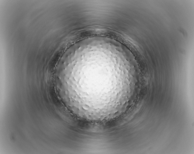 X0000115160373200911101755