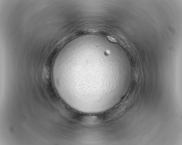 X0000115160374200911101755