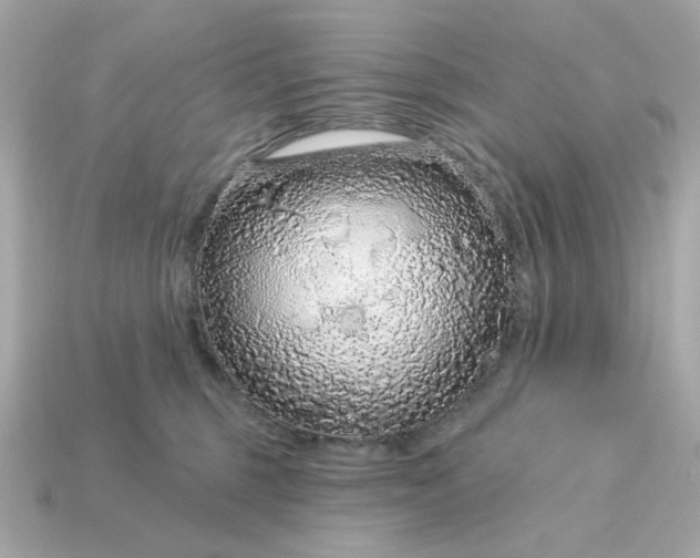 X0000115160375200911101755