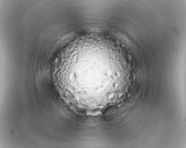 X0000115160377200911101755