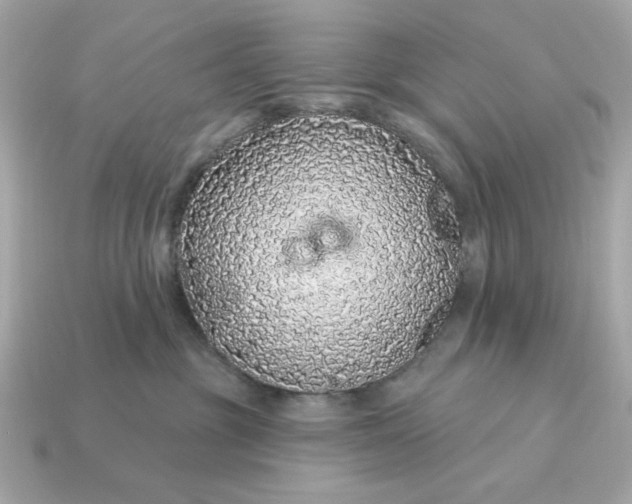 X0000115160381200911101755