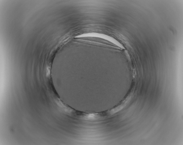 X0000115160382200911101755