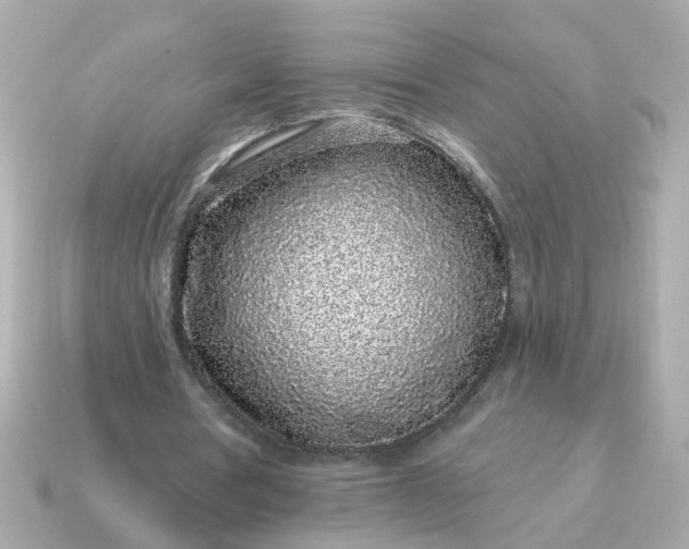 X0000115160386200911101754
