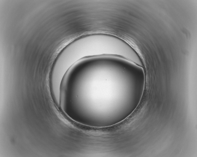 X0000115160389200911101754