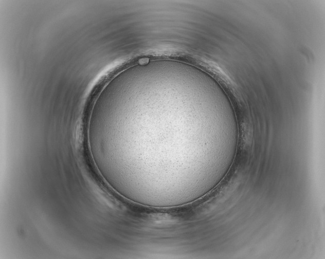 X0000115160392200911101754