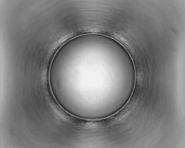 X0000115160394200911101754