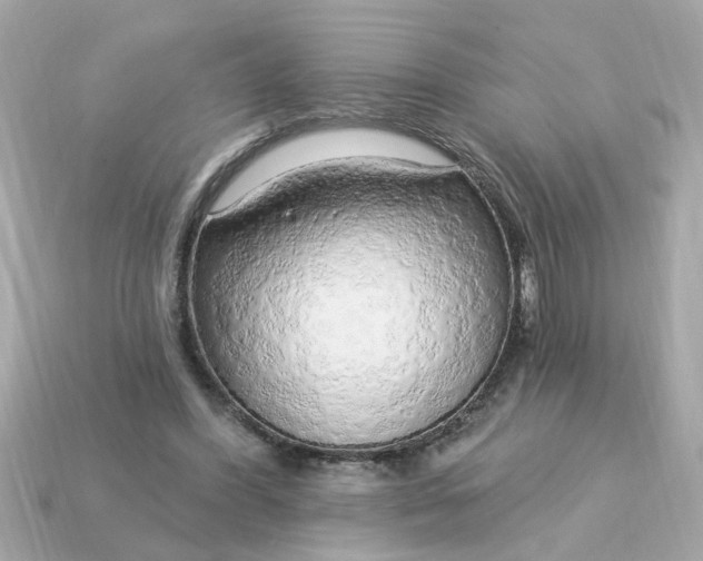 X0000115160396200911101754