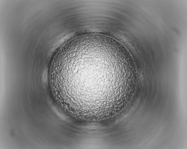 X0000115160398200911101754