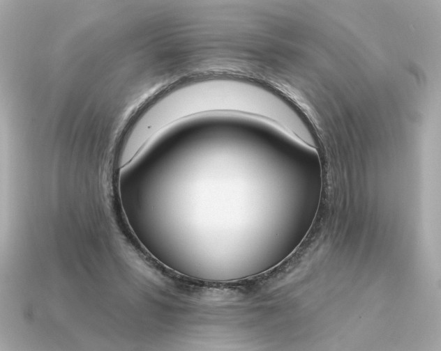X0000115160399200911101754