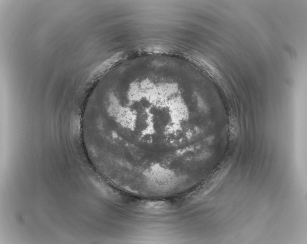 X0000115160401200911101754