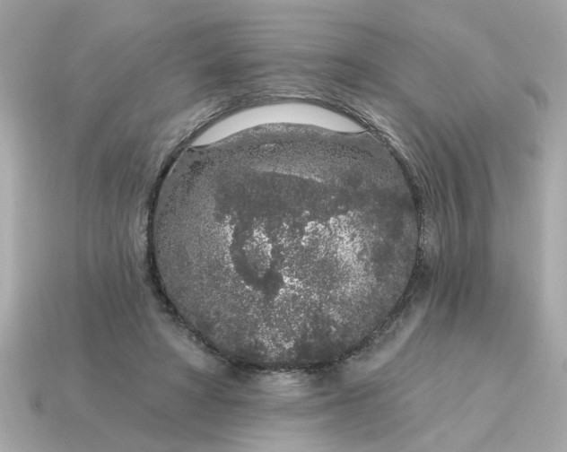 X0000115160402200911101754
