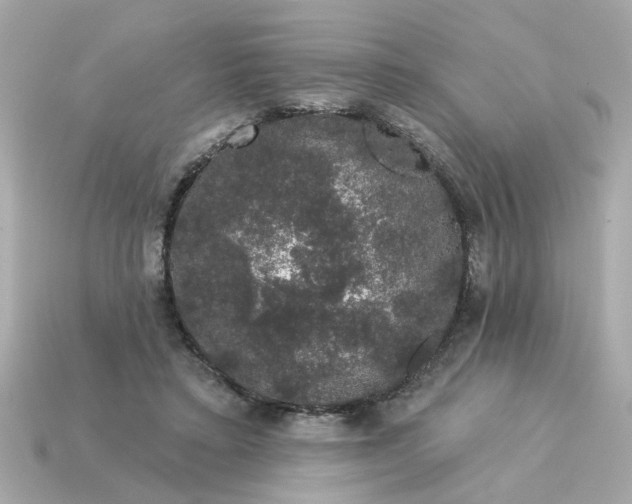 X0000115160403200911101754