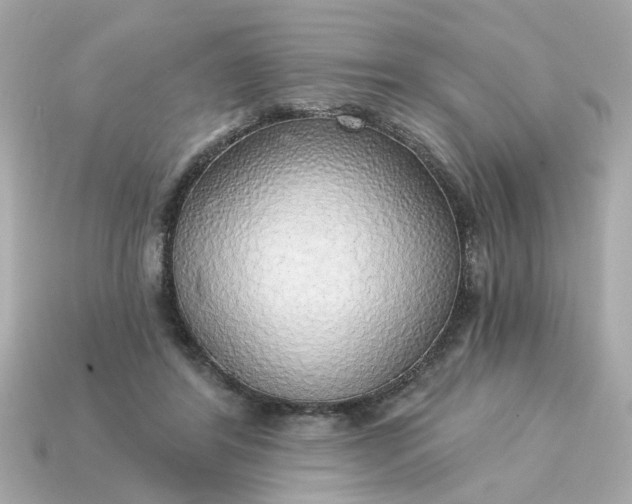 X0000115160404200911101754