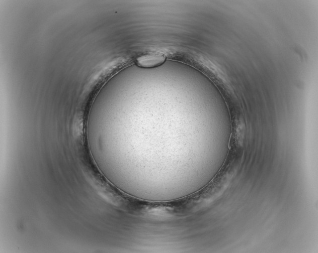 X0000115160407200911101754
