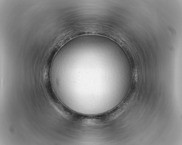 X0000115160408200911101754