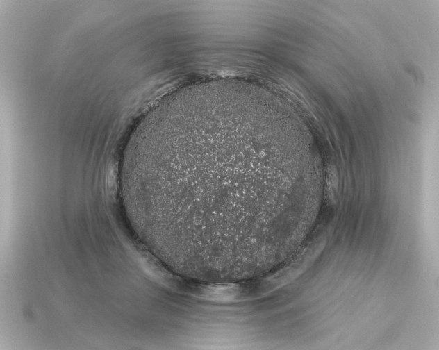 X0000115160410200911101754