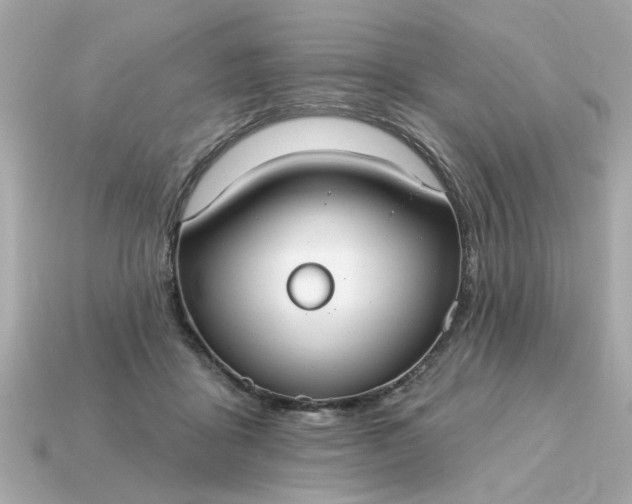 X0000115160411200911101754