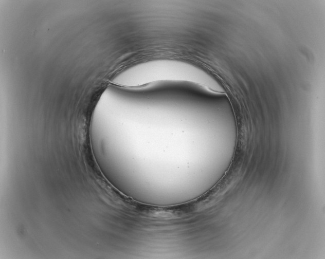 X0000115160413200911101754