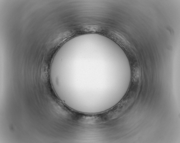 X0000115160414200911101754