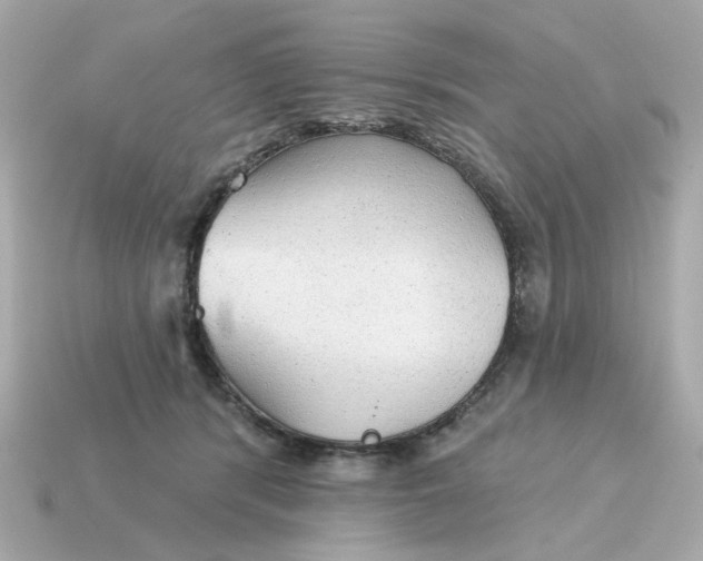 X0000115160416200911101754