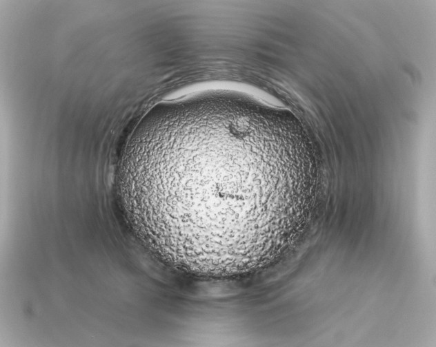 X0000115160417200911101754