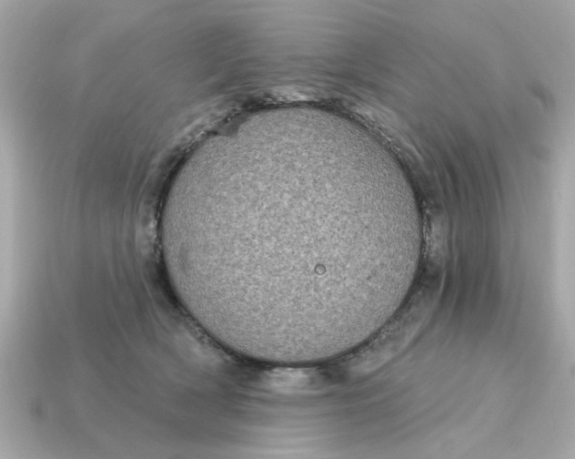 X0000115160418200911101754