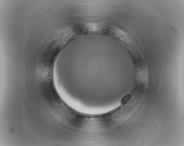 X0000115160419200911101754