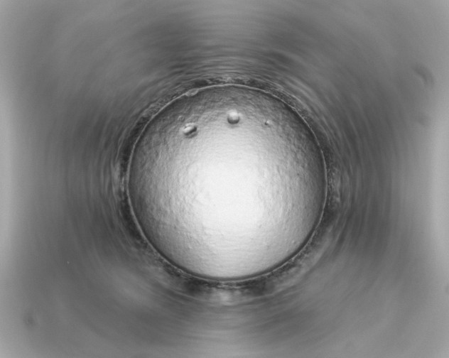 X0000115160420200911101754