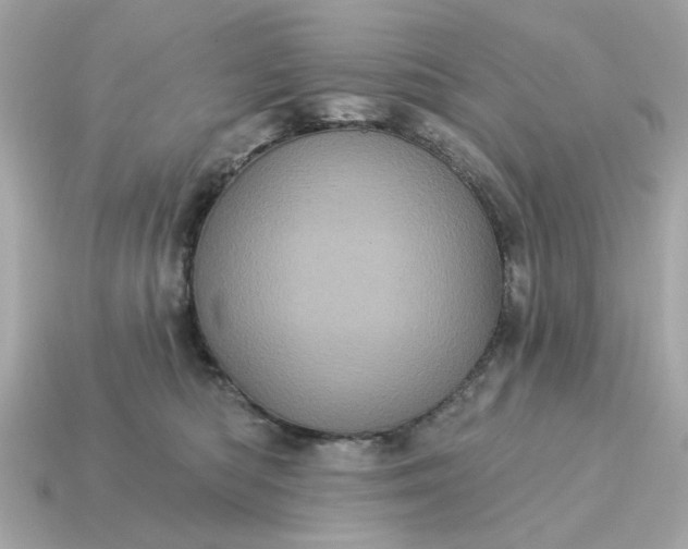 X0000115160422200911101754