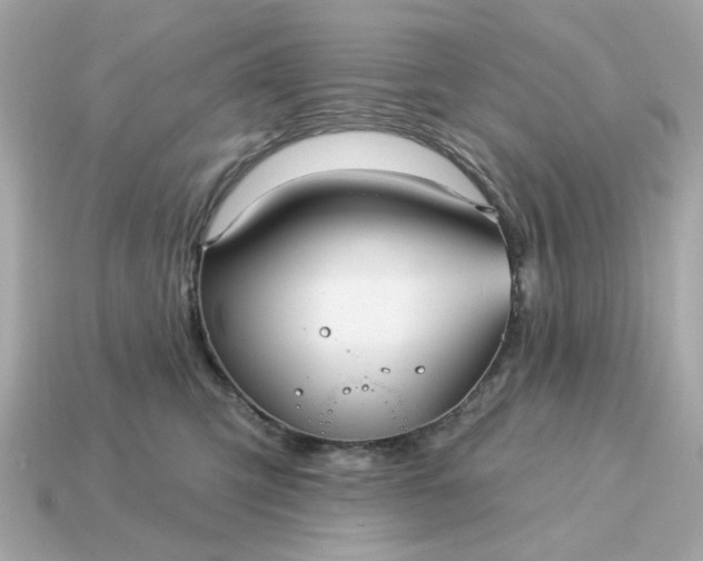X0000115160423200911101754