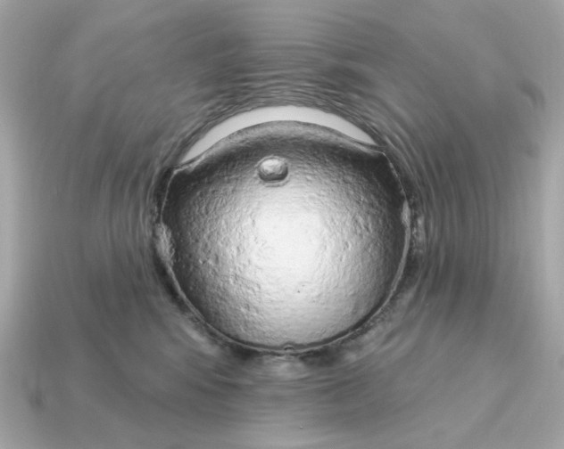 X0000115160424200911101754