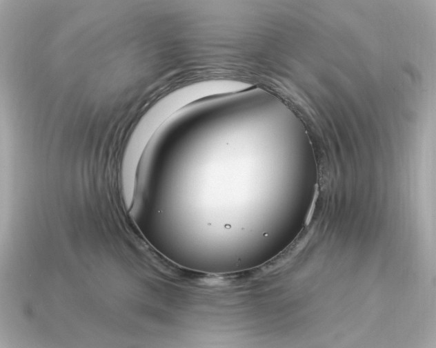 X0000115160425200911101754